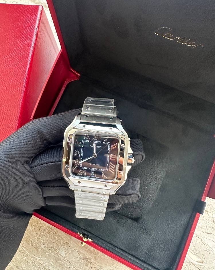 Часы Cartier SANTOS DE WSSA0071