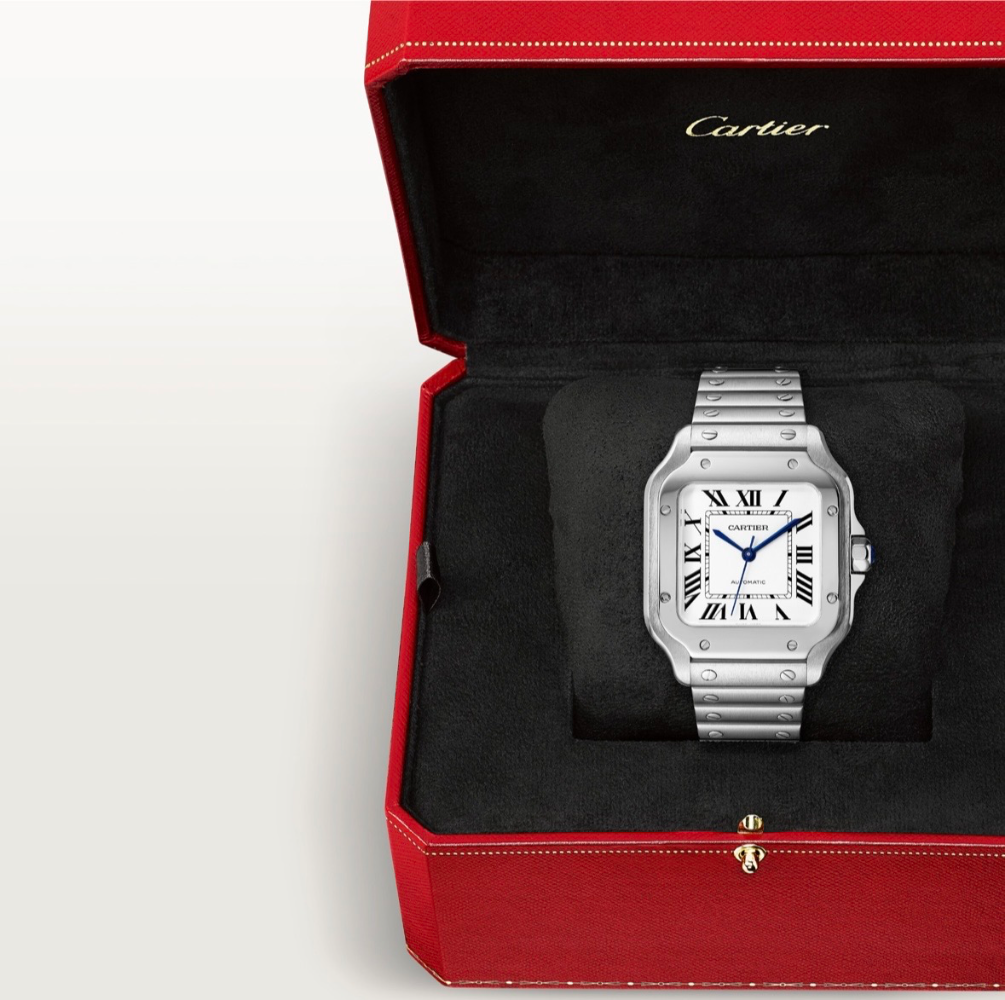 Часы Cartier SANTOS DE WATCH WSSA0029