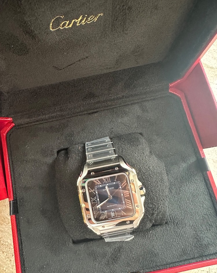 Часы Cartier SANTOS DE WSSA0071