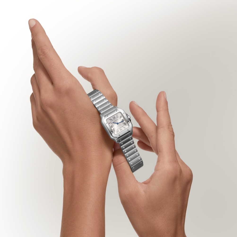 Часы Cartier SANTOS DE WATCH WSSA0082