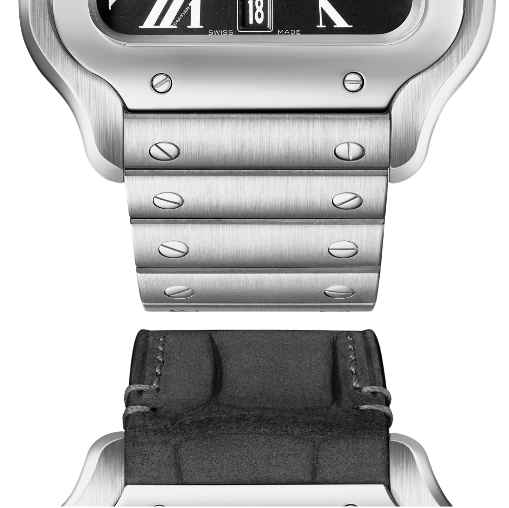 Часы Cartier SANTOS DE WATCH WSSA0096