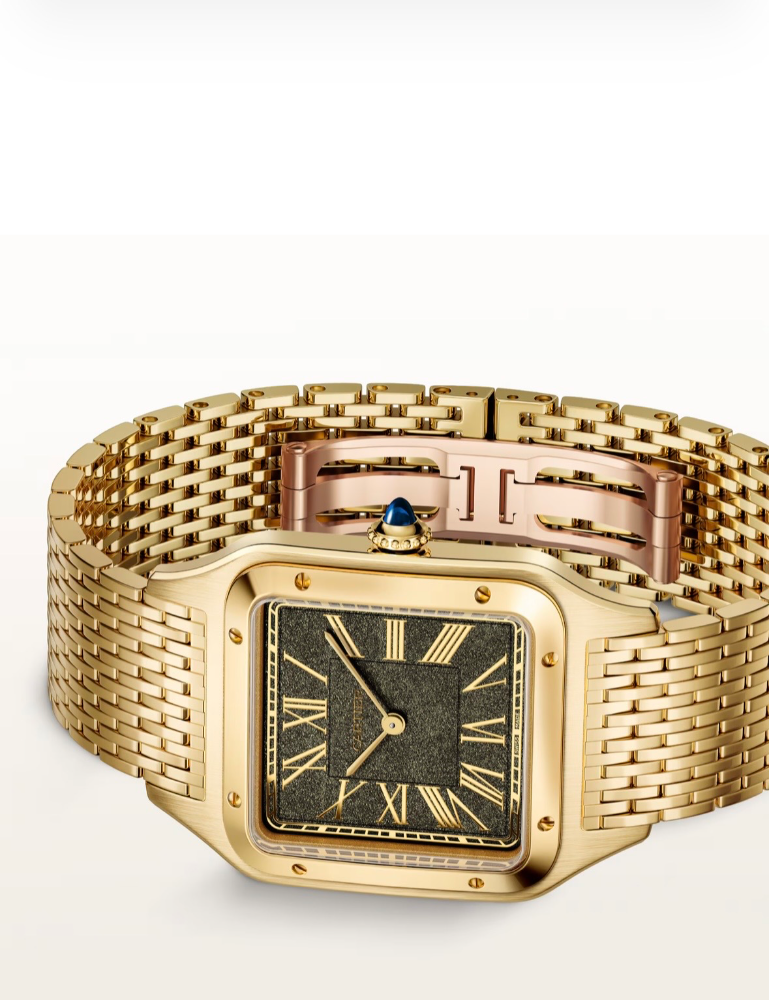 Часы Cartier SANTOS-DUMONT LARGE WGSA0123