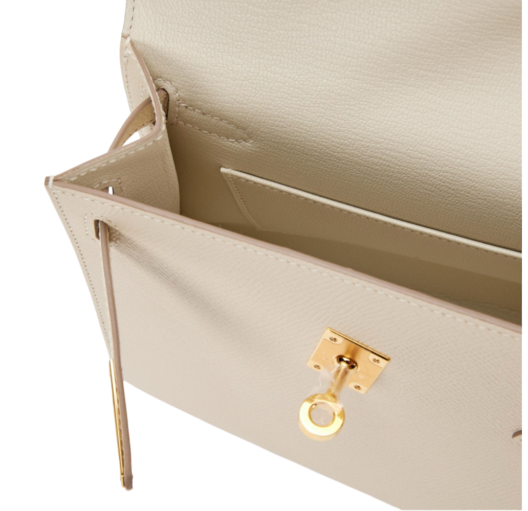 Сумка Hermes Hermès Limited Edition Nata Epsom Kelly en Desordre 20 Sellier Gold Hardware