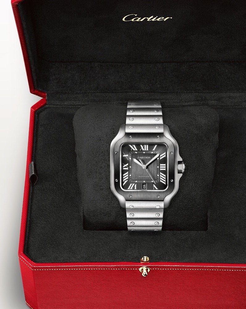 Часы Cartier Santos De WSSA0037