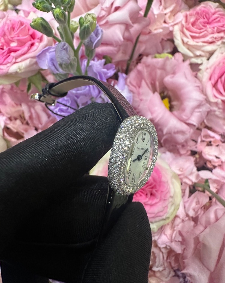 Часы Cartier BAIGNOIRE WJBA0050