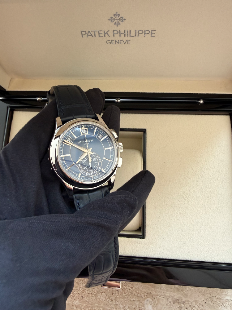Часы Patek Philippe COMPLICATED WATCHES 5905P-001