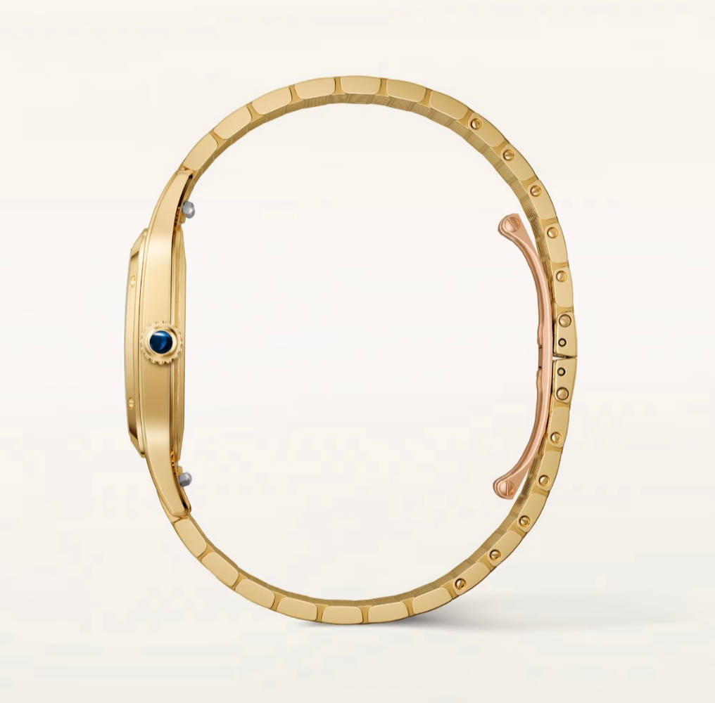 Часы Cartier SANTOS-DUMONT LARGE WGSA0123