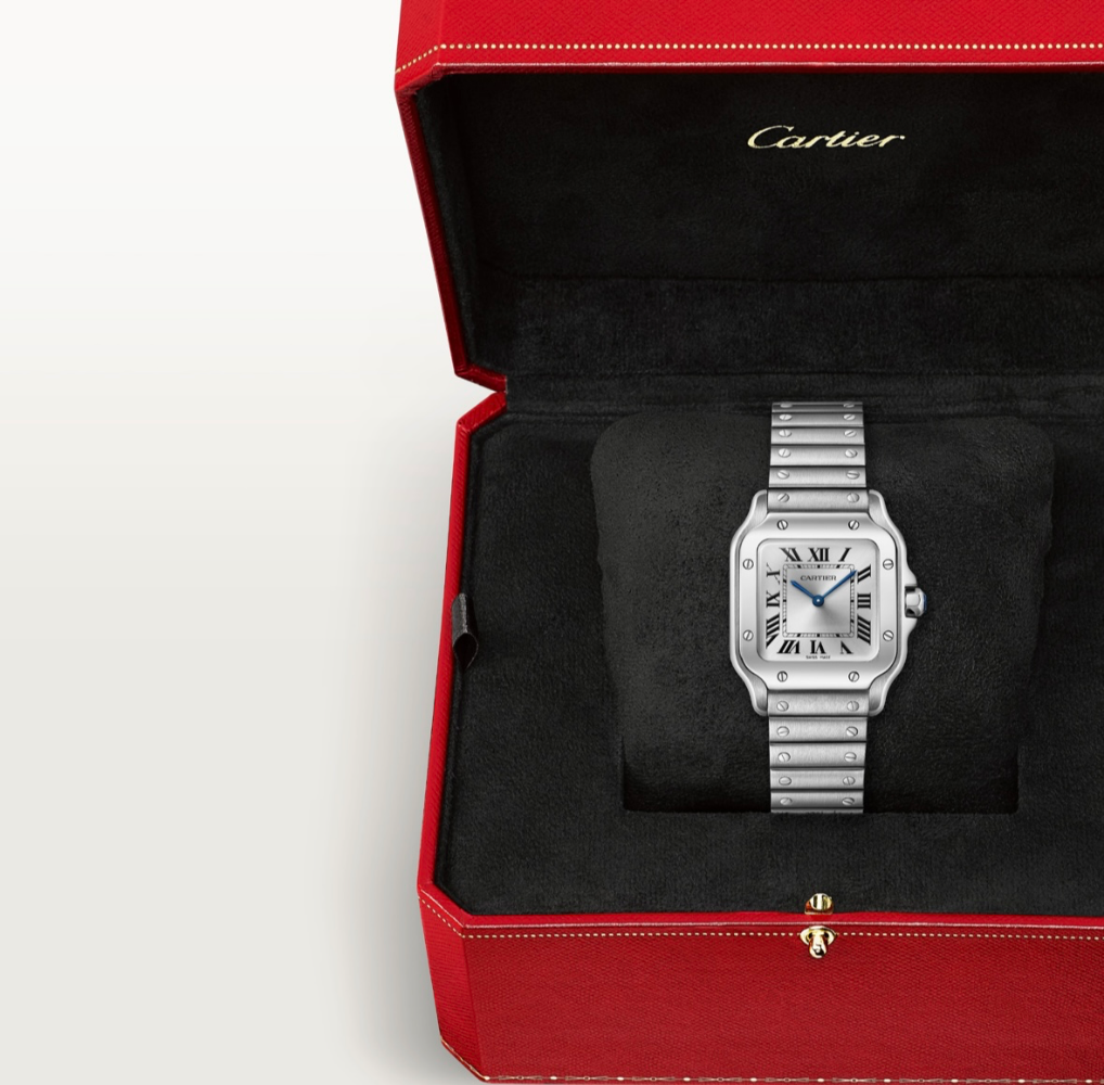 Часы Cartier SANTOS DE WATCH WSSA0082