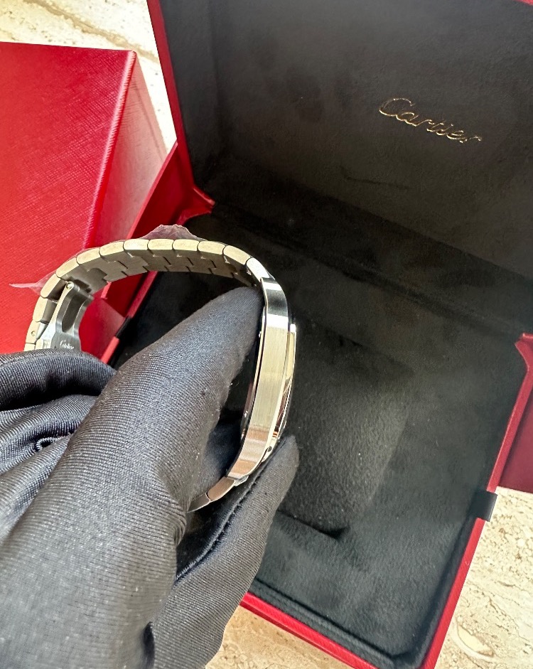 Часы Cartier SANTOS DE WSSA0071