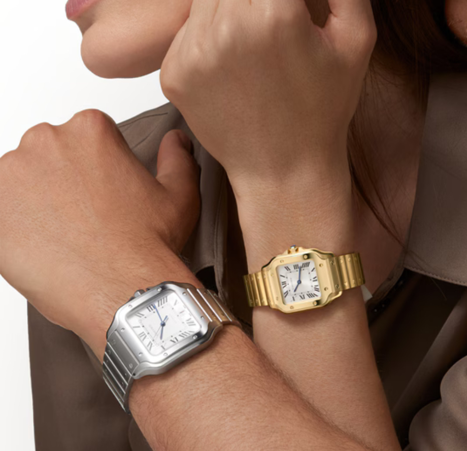 Часы Cartier SANTOS DE WSSA0018