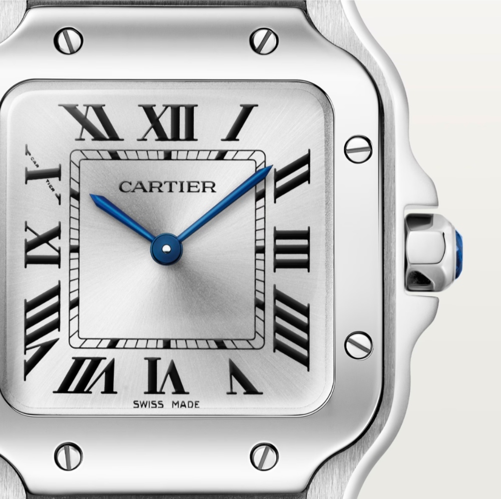 Часы Cartier SANTOS DE WATCH WSSA0082