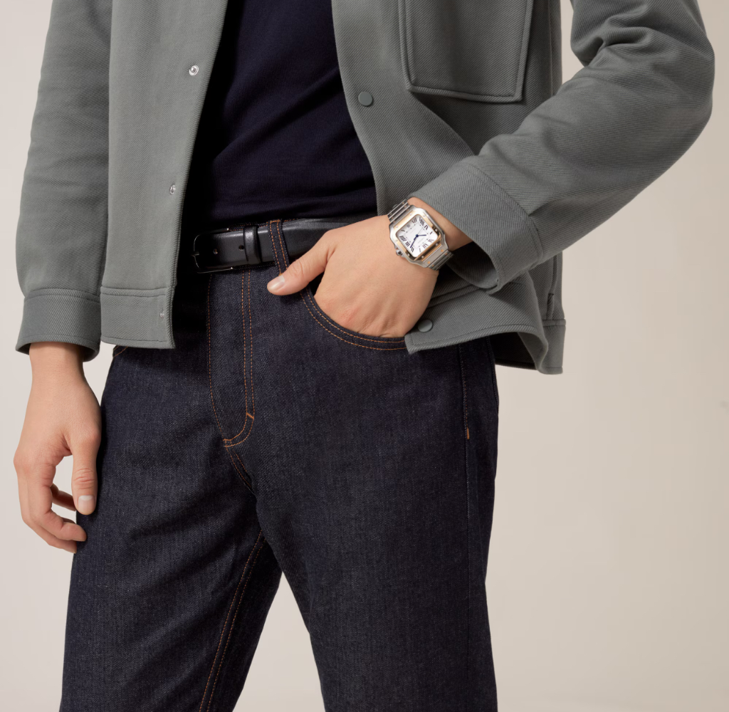 Часы Cartier SANTOS DE WATCH W2SA0009