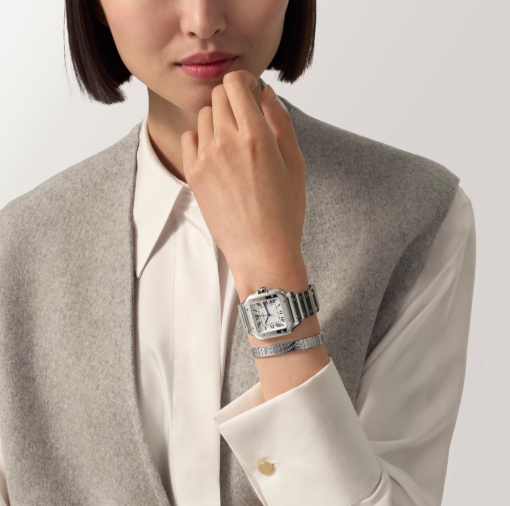 Часы Cartier SANTOS DE WATCH WSSA0029