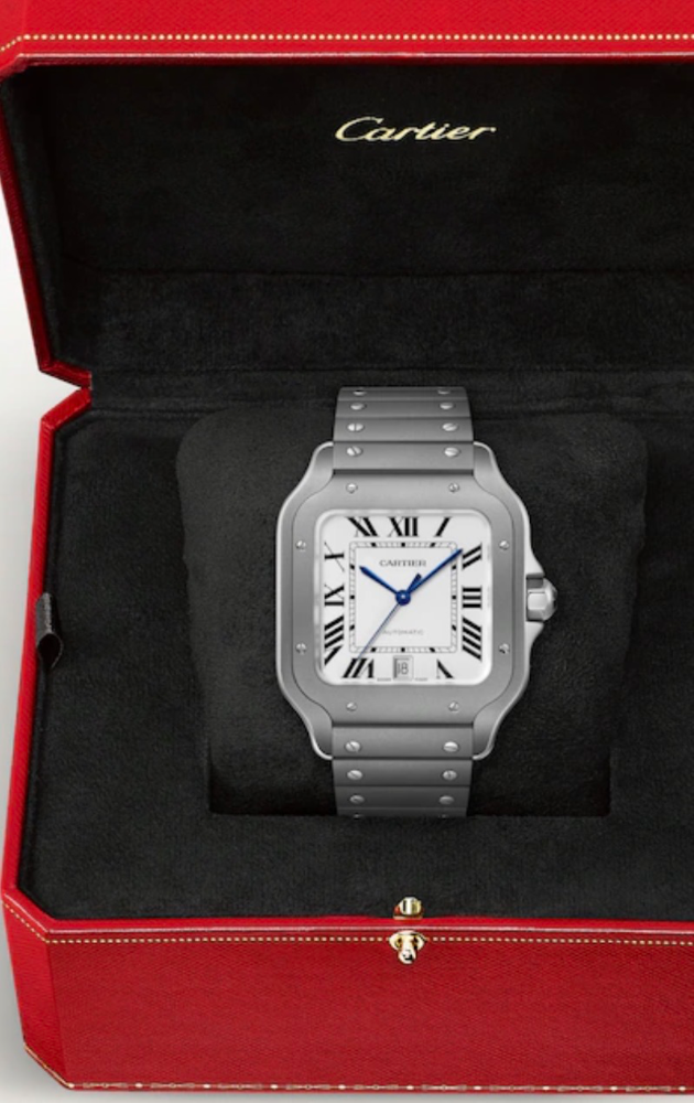 Часы Cartier SANTOS DE WATCH Steel/Titanium WSSA0089