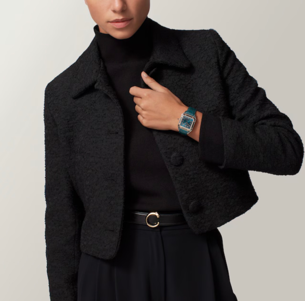 Часы Cartier SANTOS-DUMONT WGSA0098