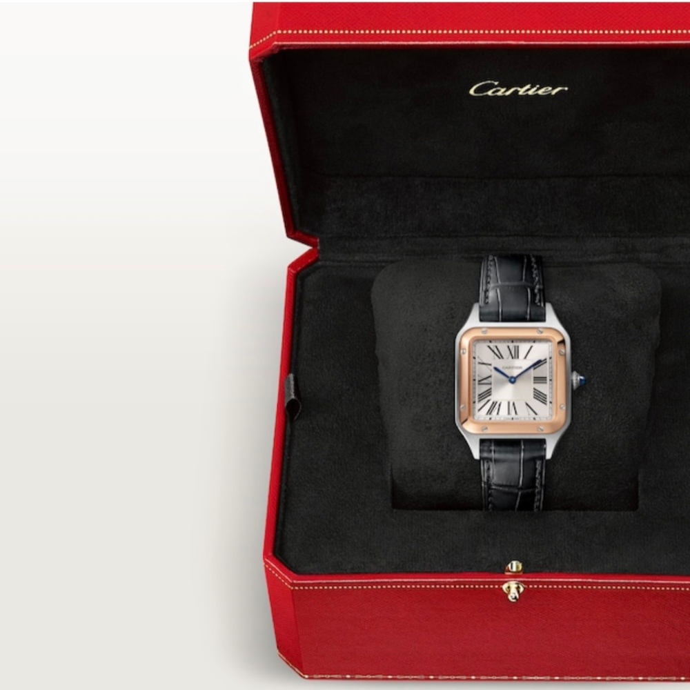 Часы Cartier SANTOS-DUMONT WATCH W2SA0012