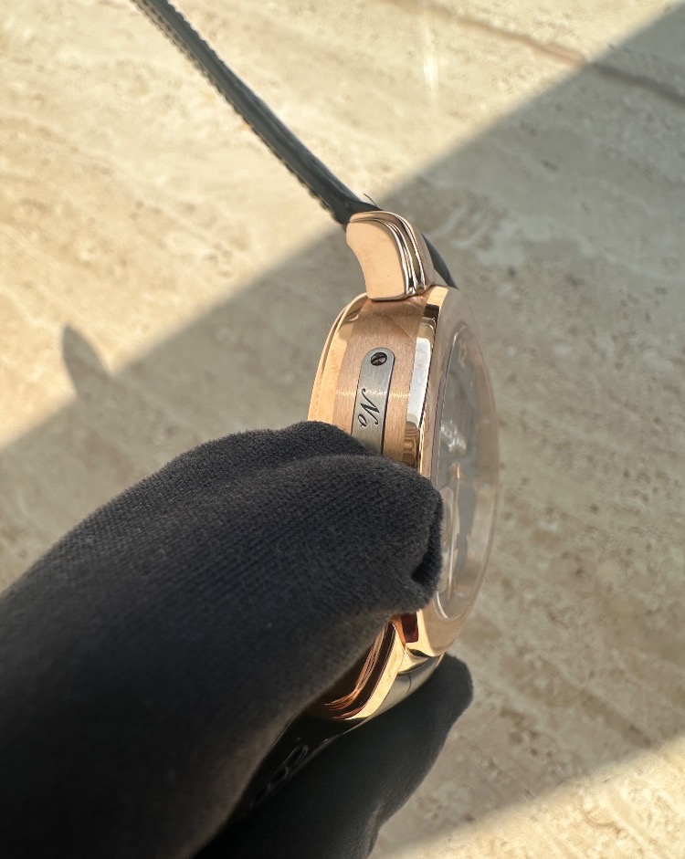 Часы Ulysse Nardin Exceptional Anniversary 160 1602-100
