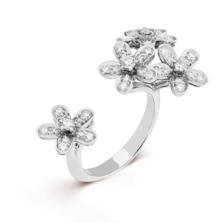 Кольцо Van Cleef & Arpels на два пальца Socrate VCARB14500