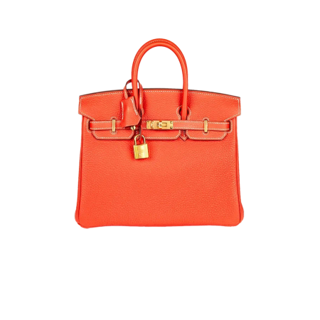 Сумка Hermes Birkin 25 cm.