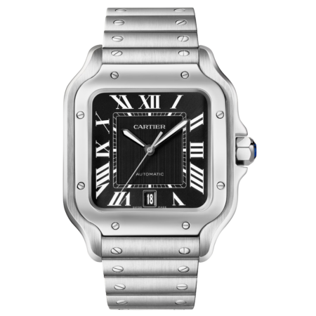 Часы Cartier SANTOS DE WATCH WSSA0096