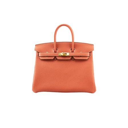 Сумка Hermes Birkin 25 cm.