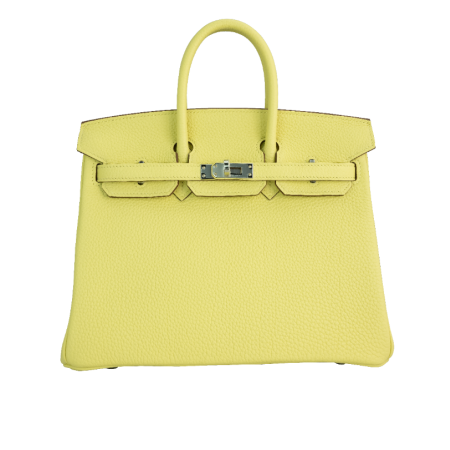 Сумка Hermes Birkin 25 cm Veau Togo