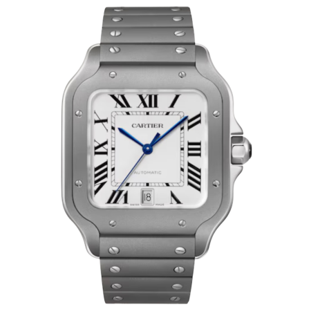 Часы Cartier SANTOS DE WATCH Steel/Titanium WSSA0089
