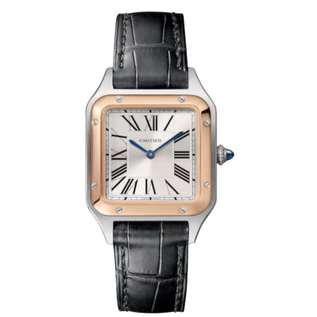 Часы Cartier SANTOS-DUMONT WATCH W2SA0012