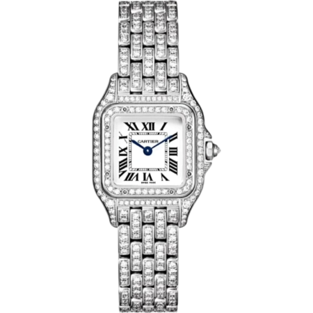 Часы Cartier PANTHÈRE DE WATCH Mini WSPN0012 FIX