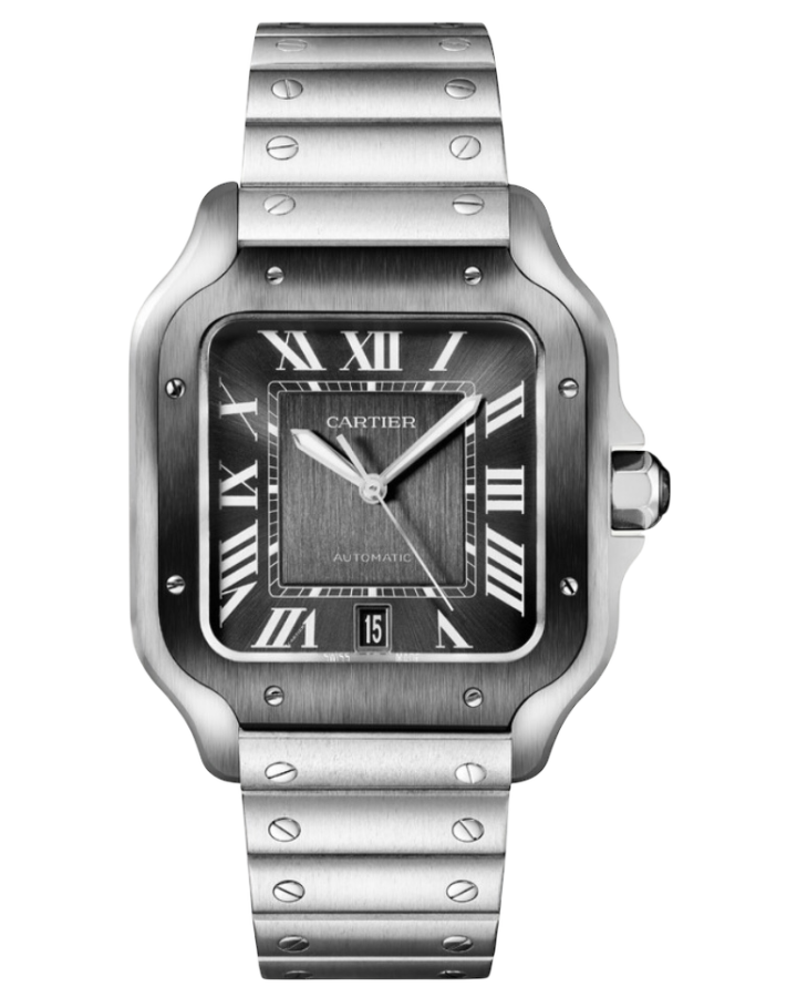 Часы Cartier Santos De WSSA0037