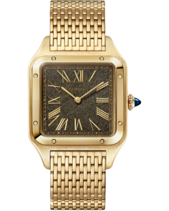 Часы Cartier SANTOS-DUMONT LARGE WGSA0123