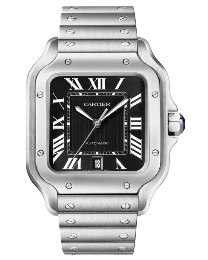 Часы Cartier SANTOS DE WATCH WSSA0096