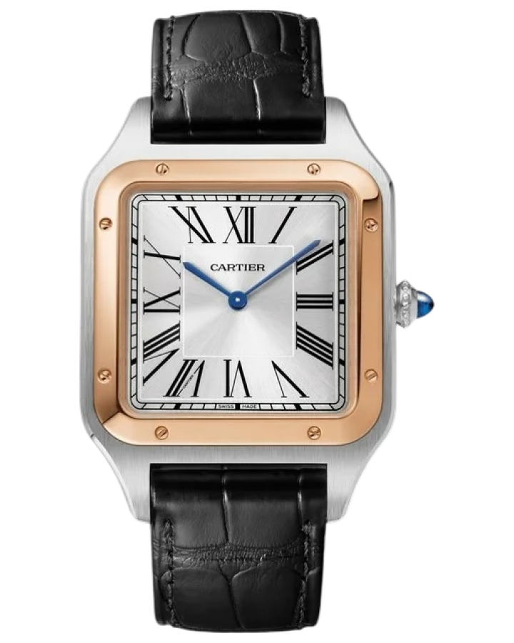 Часы Cartier SANTOS-DUMONT XL W2SA0017