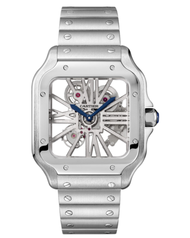 Часы Cartier SANTOS DE Большая модель WHSA0015