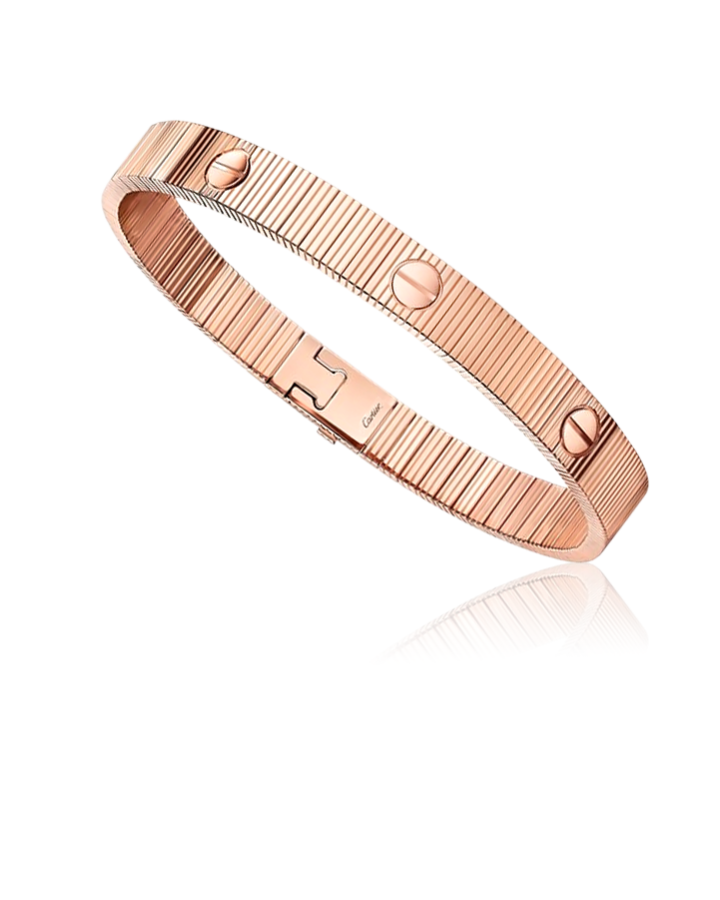Браслет Cartier LOVE UNLIMITED BRACELET FLEXIBLE (SIZE 15) B6088115