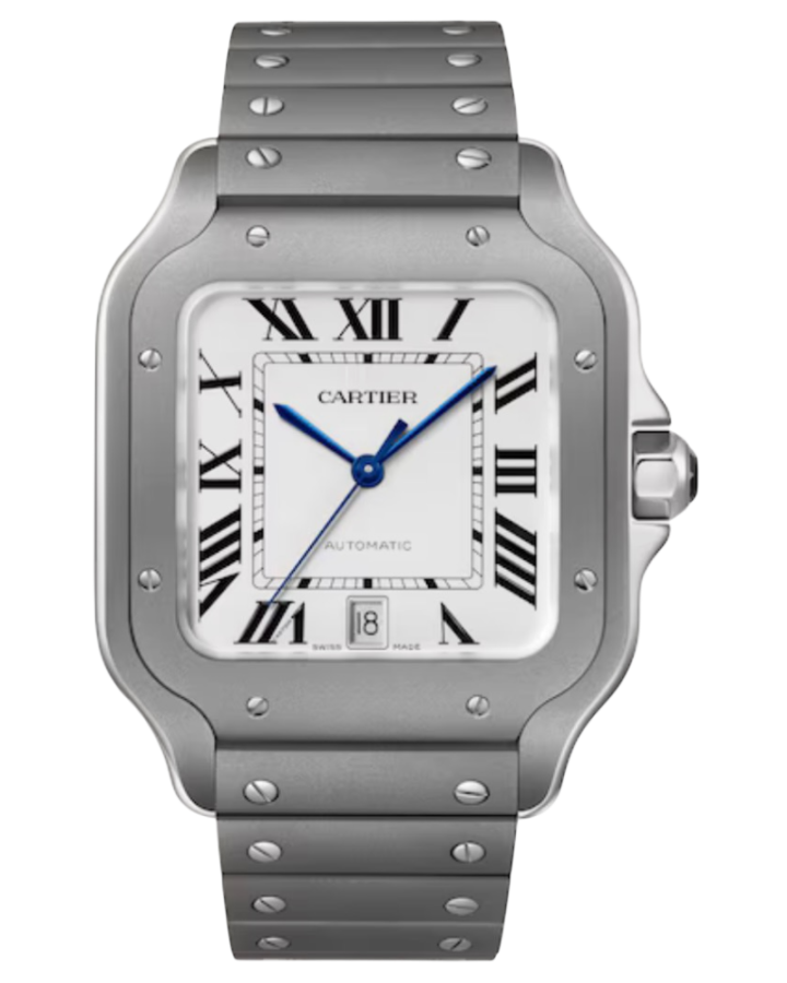 Часы Cartier SANTOS DE WATCH Steel/Titanium WSSA0089