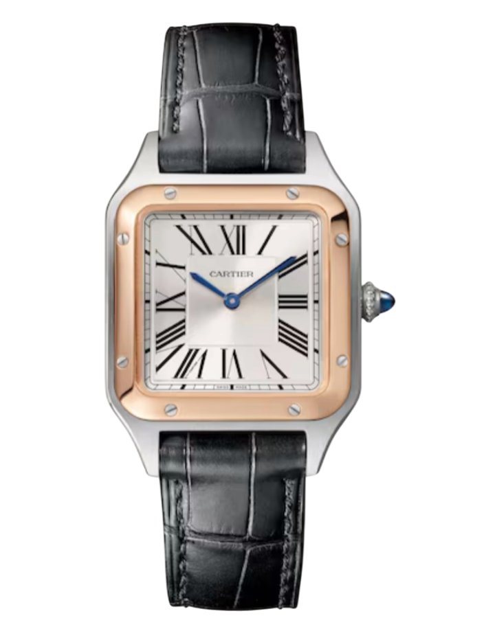 Часы Cartier SANTOS-DUMONT WATCH W2SA0012
