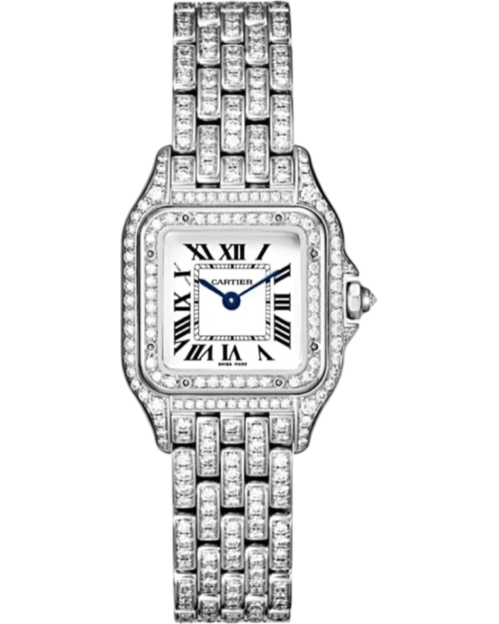 Часы Cartier PANTHÈRE DE WATCH Mini WSPN0012 FIX